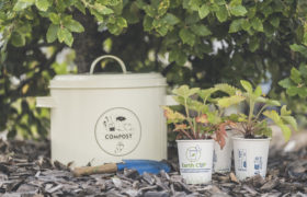 Earth Cup®, the home compostable paper cup